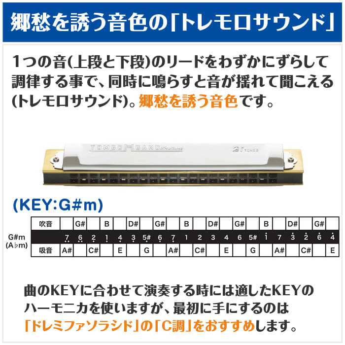 楽天市場】ハーモニカ トンボ No.1521 G#m 特製トンボバンド 21穴