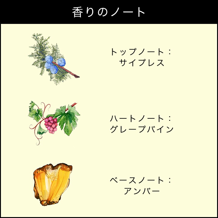 楽天市場】【ポイント10倍 19日20:00〜25日23:59】公式｜ジョー