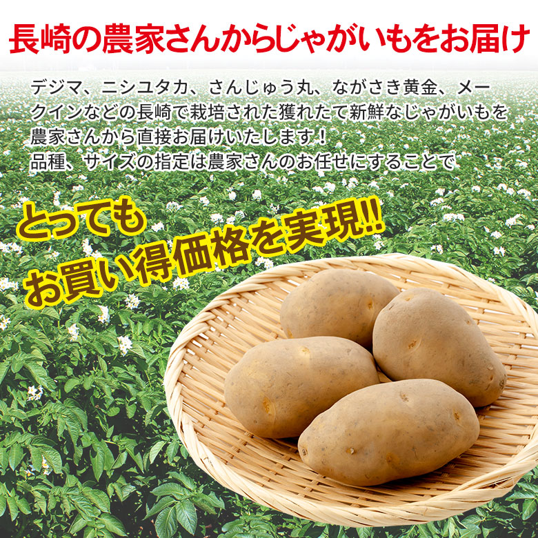 楽天市場】【5月中旬以降から順次ご発送】 じゃがいも ジャガイモ 春