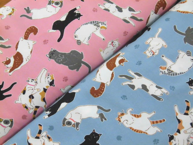 楽天市場】新入荷 コットン オックス 生地 布 のんびりネコ へそ天