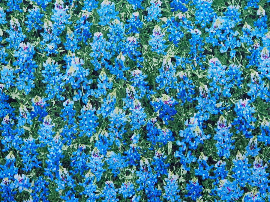 楽天市場】輸入 USAコットン 生地 布 パックドブルーボンネッツ