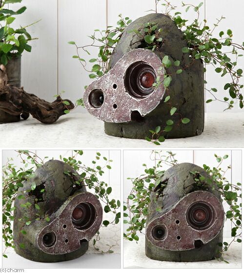 楽天市場】送料無料ジブリ プランターカバー 天空の城ラピュタ