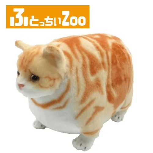 楽天市場】【ぬいぐるみ】ふとっちぃZooにゃんこ アメリカンショート