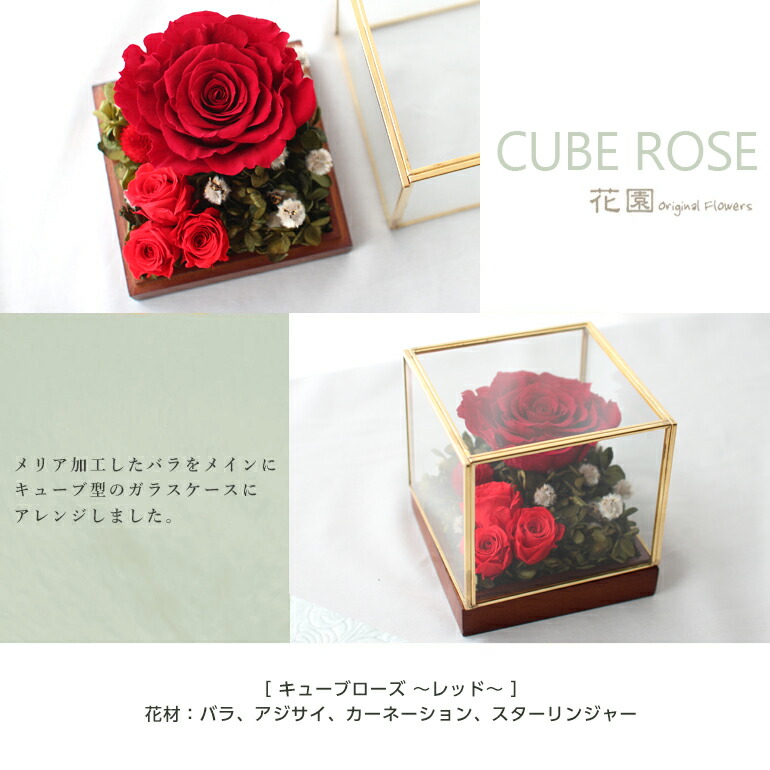 楽天市場】プリザーブドフラワー『キューブローズ 〜レッド〜 』クリア