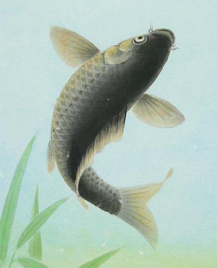 楽天市場】絵画 日本画 跳鯉 （塚下静庵） 送料無料 【肉筆】【日本画