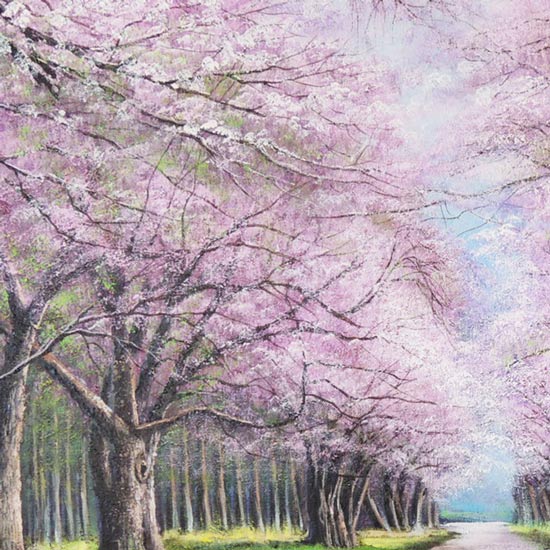 楽天市場】絵画 油絵 二十間道路桜並木 F50号 （木村由記夫） 送料無料