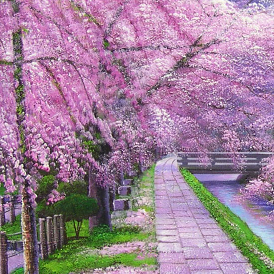 楽天市場】絵画 油絵 哲学の道 F50号 （木村由記夫） 送料無料【肉筆