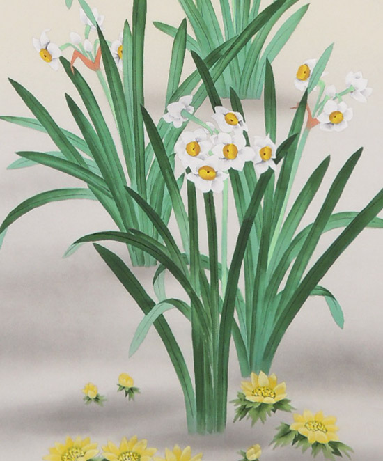 楽天市場】掛け軸 水仙 福寿草 (岡本珠洸) （掛軸小物なし) 送料無料