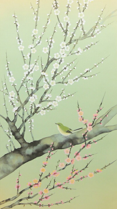 楽天市場】掛け軸 紅白梅に鶯 (三宅和光) （掛軸小物なし) 送料無料