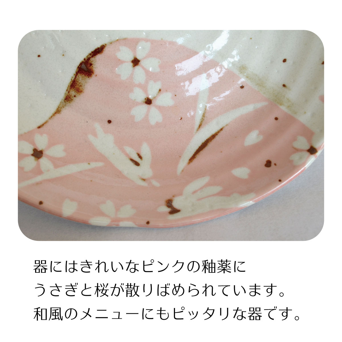 楽天市場】送料無料 ピンク志野うさぎ80深皿5個セット パスタ皿 5枚