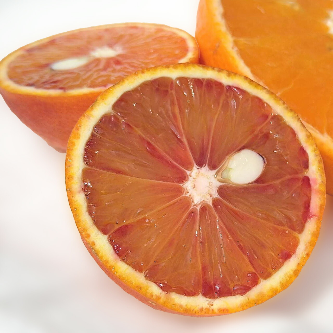 楽天市場】ブラッドオレンジ タロッコ 苗木 [小] 9cmポット 【ベランダ