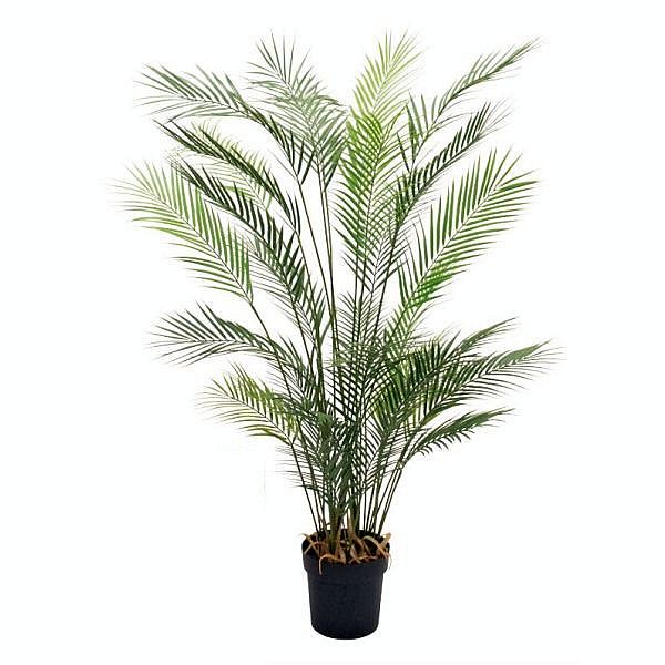 楽天市場】フェイク グリーン フェニックスの通販