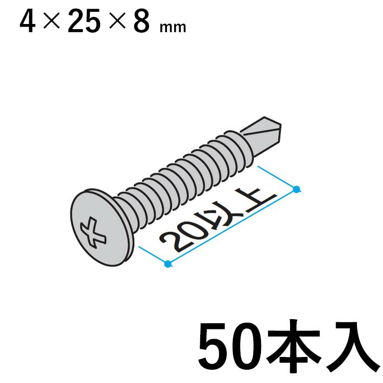 楽天市場】【2/23迄限定P2倍+先着最大900円OFF】ネジ セット ねじ