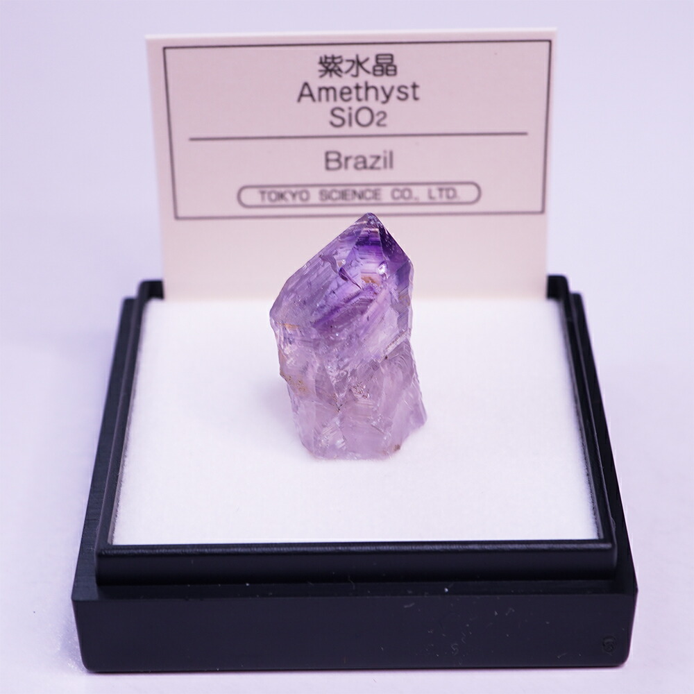 楽天市場】紫水晶 （ブラジルまたはウルグアイ） M 鉱物 標本 東京