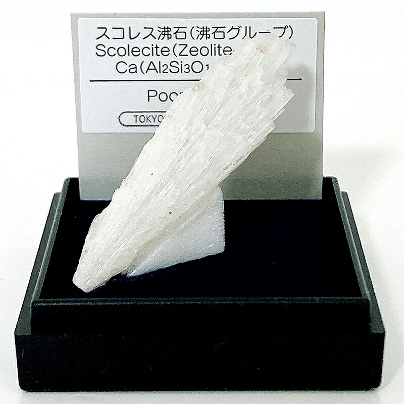 楽天市場】スコレス沸石（インド） 鉱物 標本 東京サイエンス ミニ鉱物