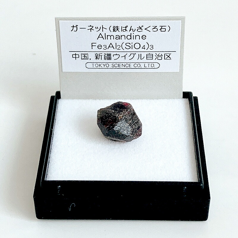 ヴァイス PSA10 学園都市 黒子 学園都市 黒子 SP PSA10 超電磁砲 学園