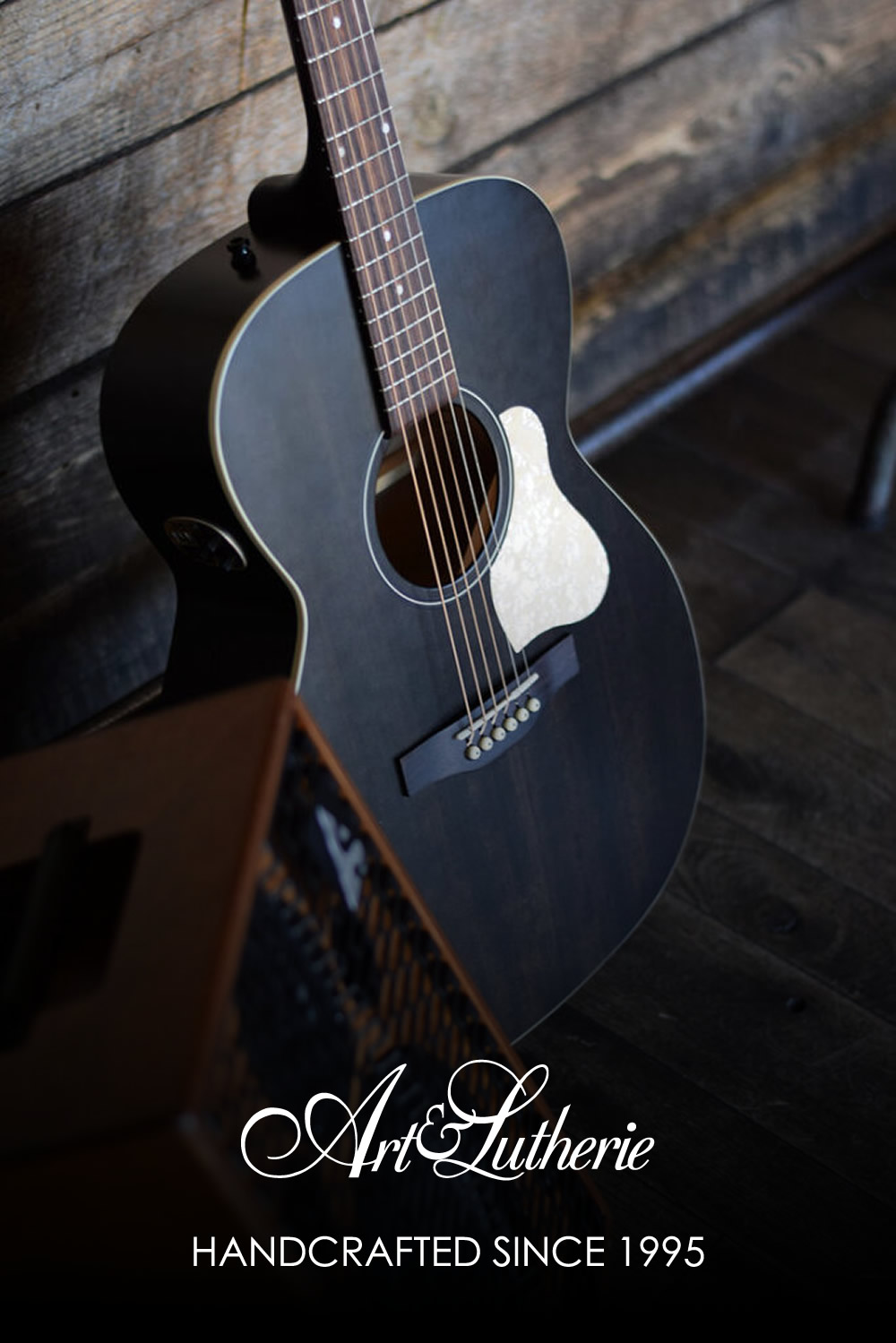 楽天市場 | キクタニミュージック 楽天市場店 - カナダ発の大注目