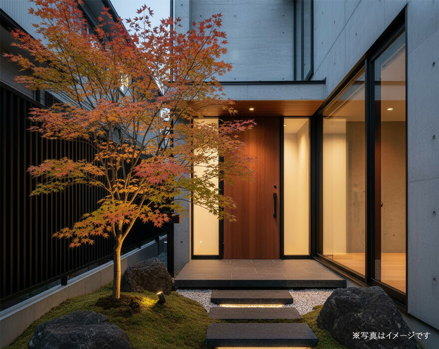 楽天市場】スナゴケ 砂苔 1平米 60cm×30cm(トレー6枚) 1箱 コケ 園芸