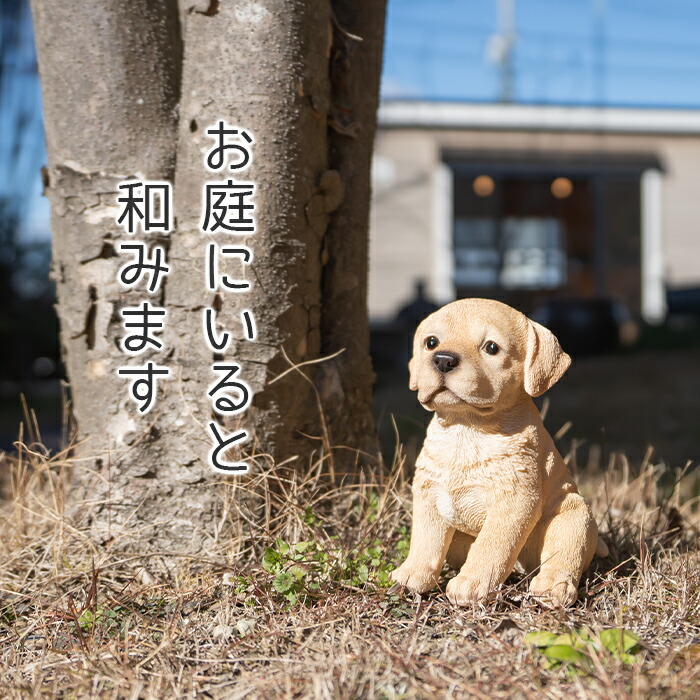 楽天市場】ちょこんと座るわんこ《 ラブラドール (16.5cm)》〔 WOOBIA