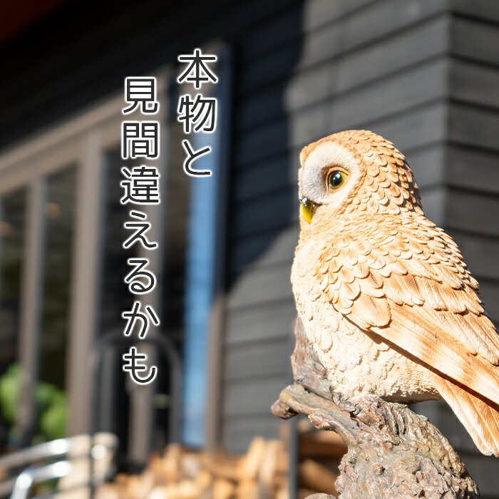 楽天市場】木に留まるフクロウ《 茶梟 (32cm)》〔 WOOBIA ウービア