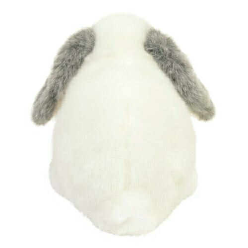 楽天市場】【クーポン配布中!】在庫あり!!【メール便送料無料】りくの