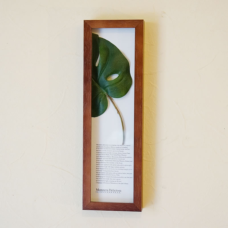 楽天市場】リーフパネル モンステラII 額 縦型 MONSUTERA ブラウン