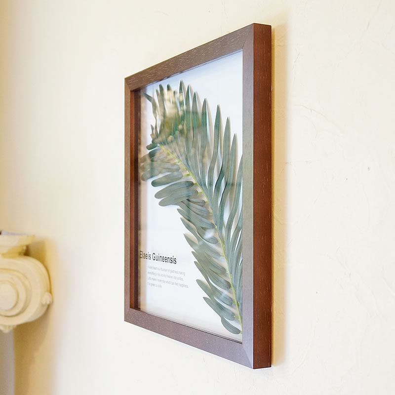 楽天市場】リーフパネル アブラヤシ 葉 フレーム 額 ブラウン フェイク