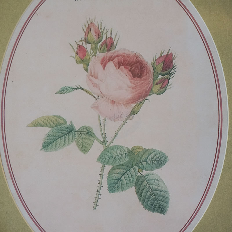 楽天市場】【スーパーセール価格】 絵画 インテリア 額入り イタリア調