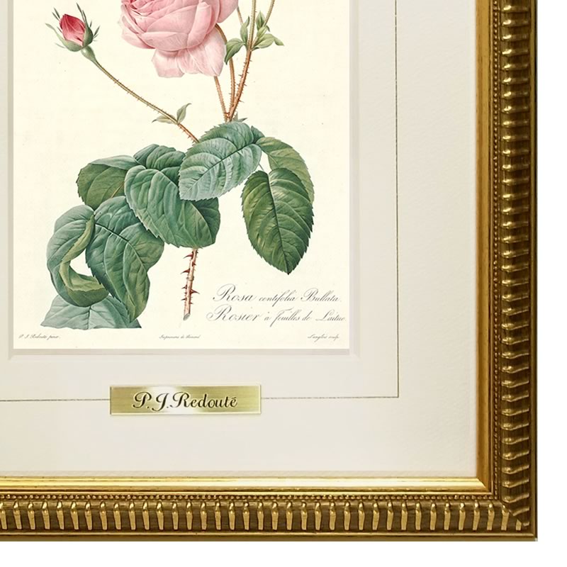 楽天市場】【スーパーセール価格】 絵画 インテリア ルドゥーテ ローズ