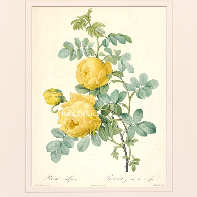 楽天市場】【スーパーセール期間限定価格】 絵画 インテリア