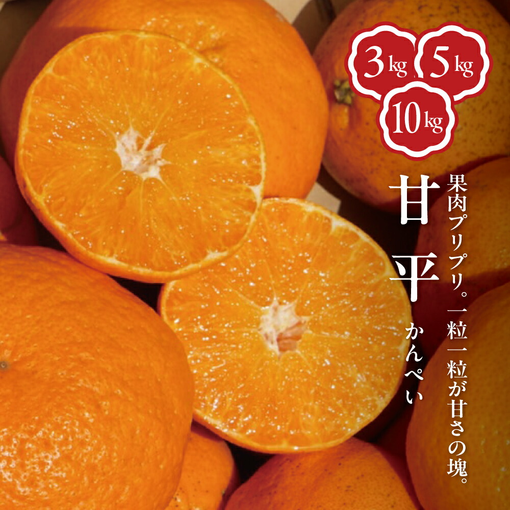 楽天市場】甘平 訳あり 10kgの通販