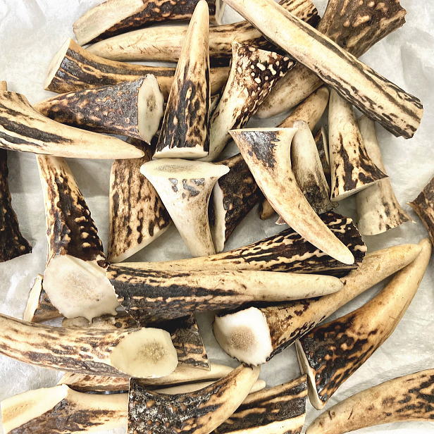 楽天市場】鹿の角 パーツ 小 約5cm前後 3本入 アクセサリー