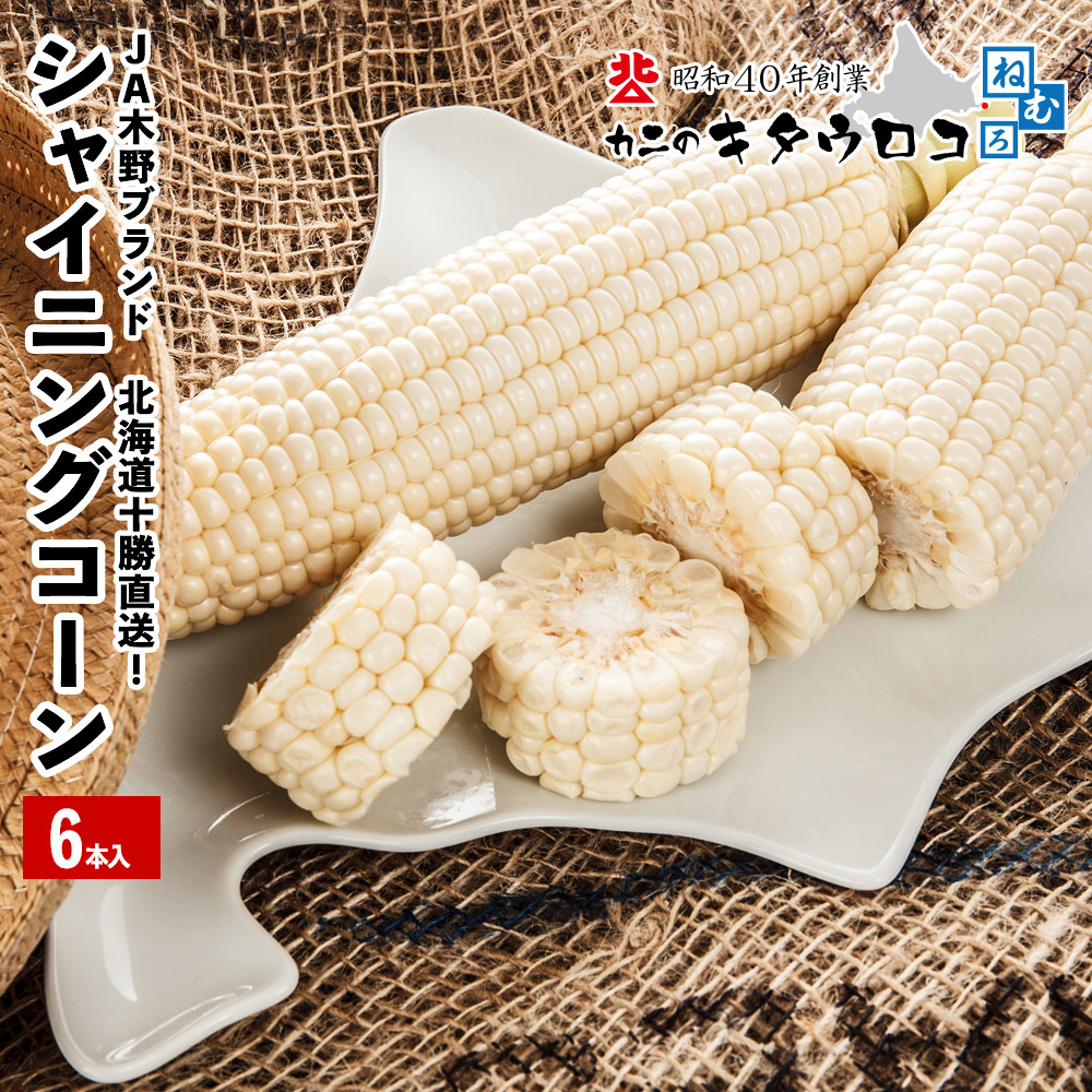 楽天市場】【2025年受付終了】 まるでフルーツ？畑のスイーツ