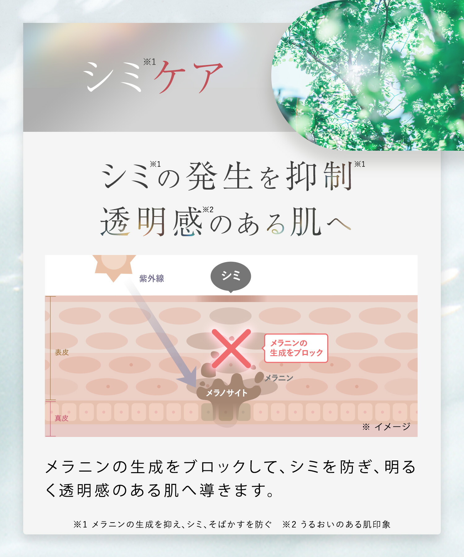 楽天市場】【 WrinkFade 薬用 リンクル ファンデーション ハイカバー