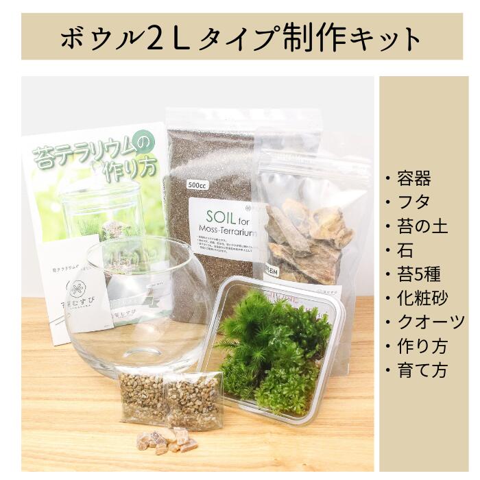 楽天市場】＼送料無料／【ボウル2L 苔テラリウム制作キット】苔