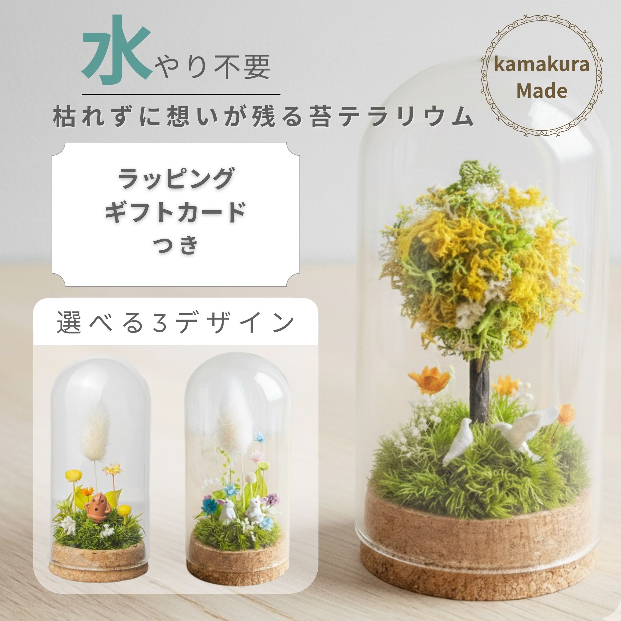 楽天市場 | 苔むすび 楽天市場店 - 生きた緑のインテリア、苔