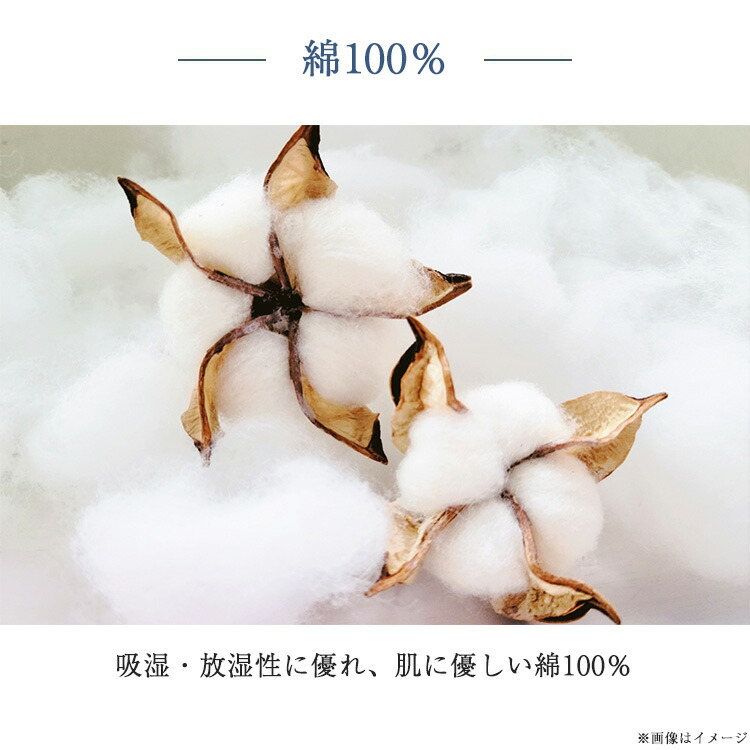 楽天市場】正規品 フランスベッド 掛け布団カバー シングル ライン