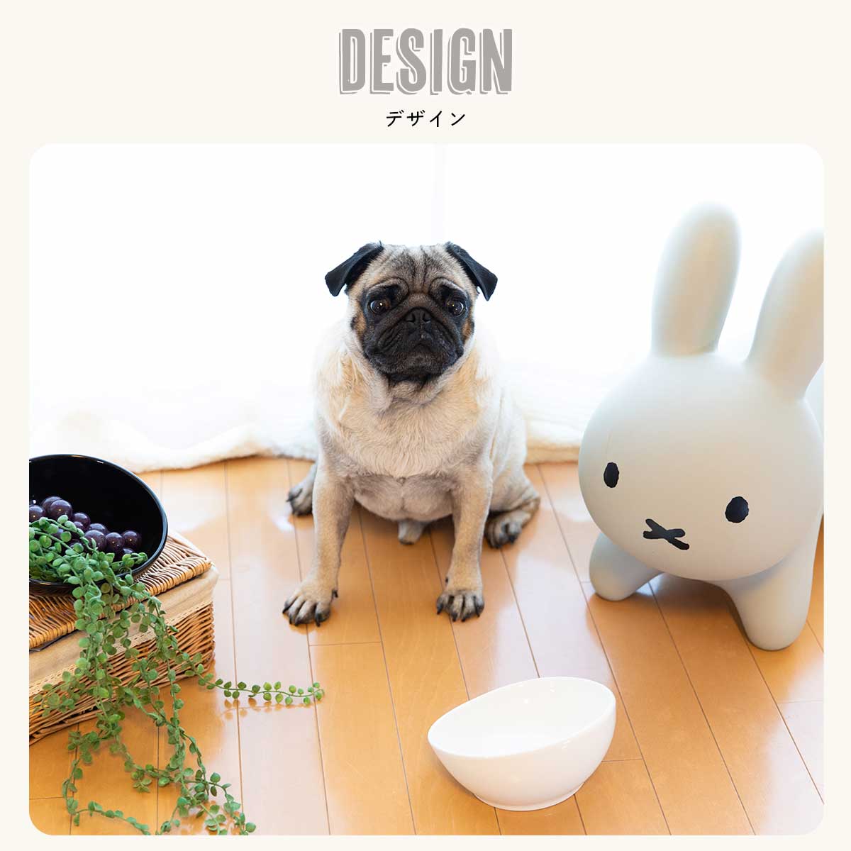 楽天市場】【楽天1位☆獲得】【短頭種にピッタリ】犬 皿 陶器 鼻ぺちゃ