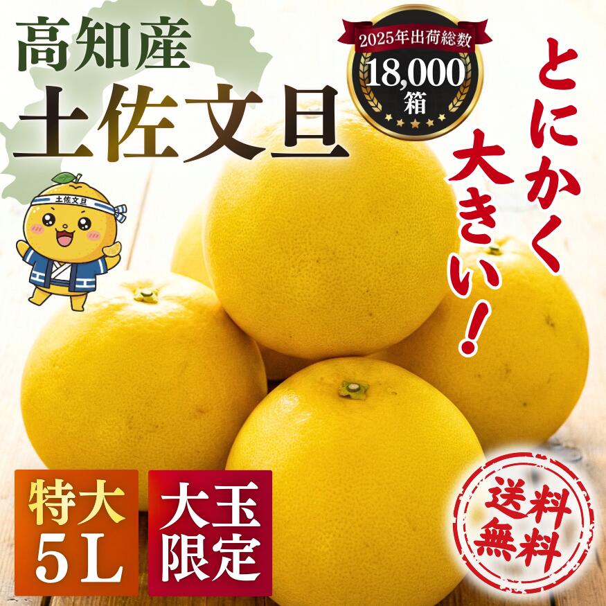 楽天市場】文旦 土佐文旦 特大5Lサイズ 大玉 限定 ご家庭用 約 10kg