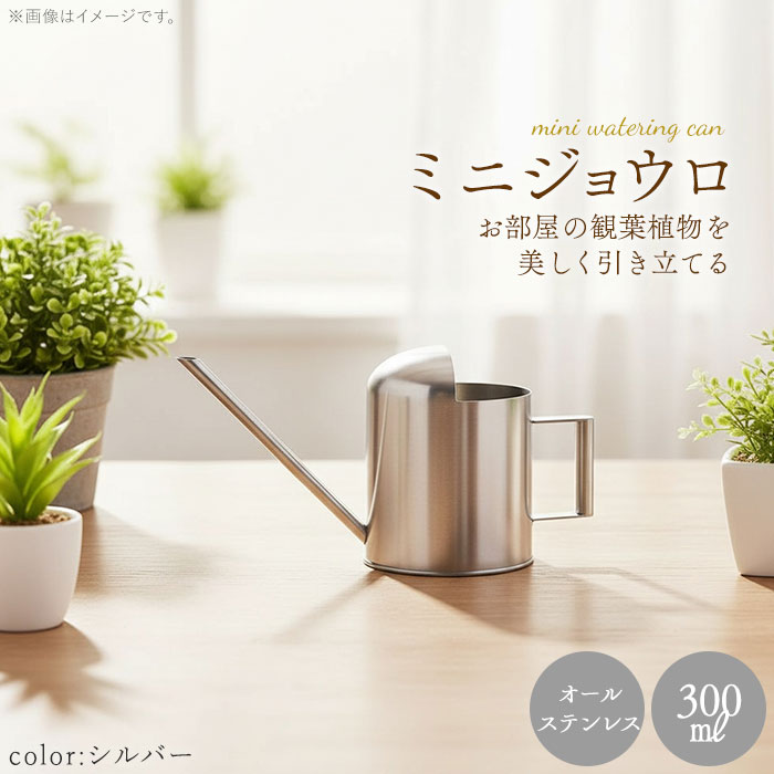 楽天市場】じょうろ ミニ 定番 水やり 小さい 小型 300ml 北欧 水差し