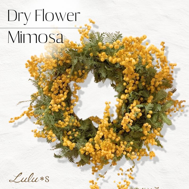 楽天市場】ドライフラワー ミモザリース ナチュラルリース サイズ:約