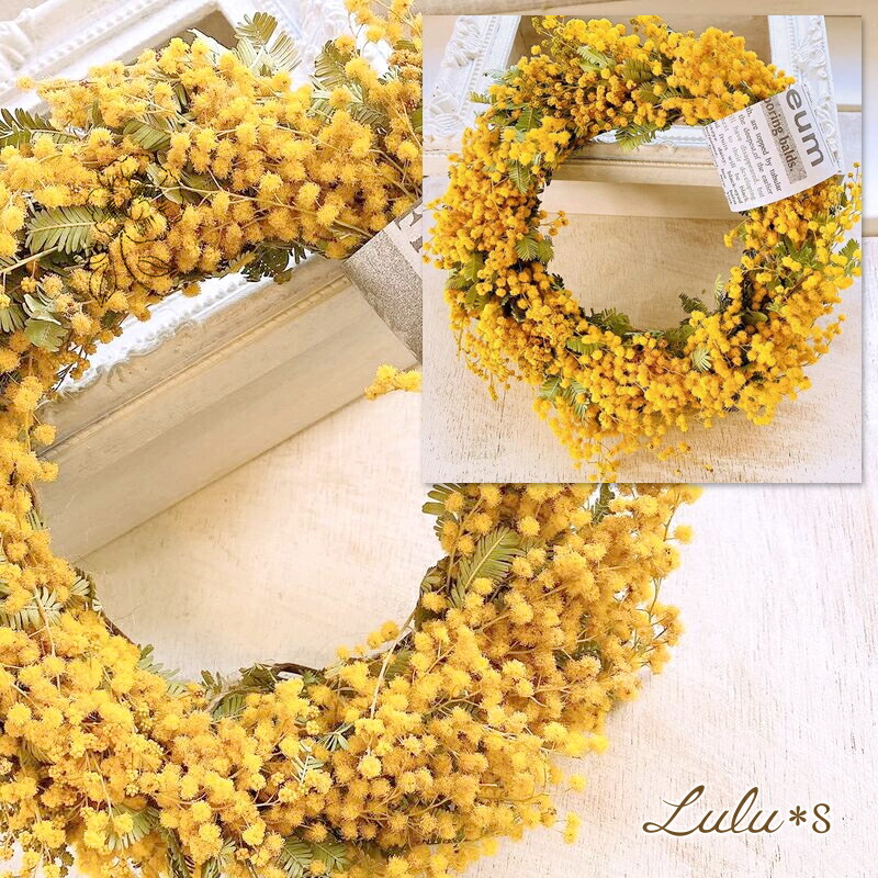 楽天市場】ふんわり＊ミモザのドライフラワーリース ナチュラルリース