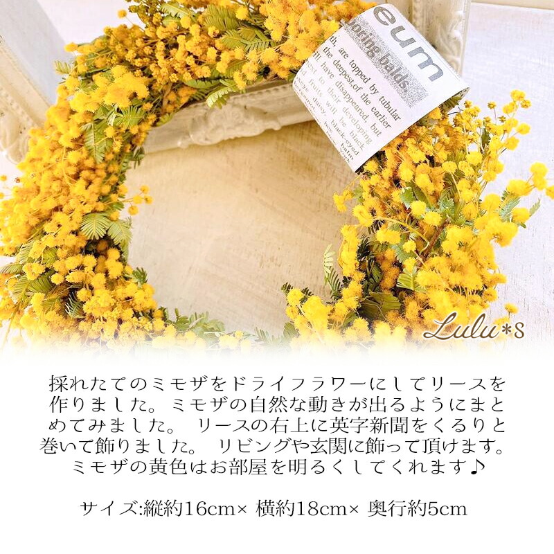 楽天市場】ふんわり＊ミモザのドライフラワーリース ナチュラルリース