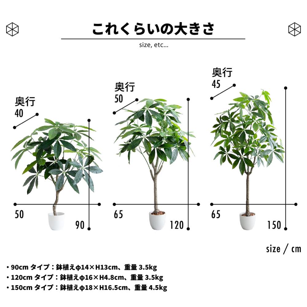 楽天市場】最大P27C300 レビュー特典あり フェイクグリーン パキラ