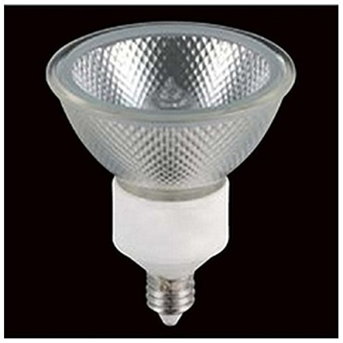 東芝 ネオハロビーム(前面ガラス付) JDR110V40W/K5M/N (電球・蛍光灯