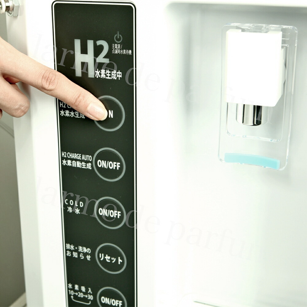 楽天市場】【正規品 公認店】ポイント10倍 レビュー投稿で+1年延長保証