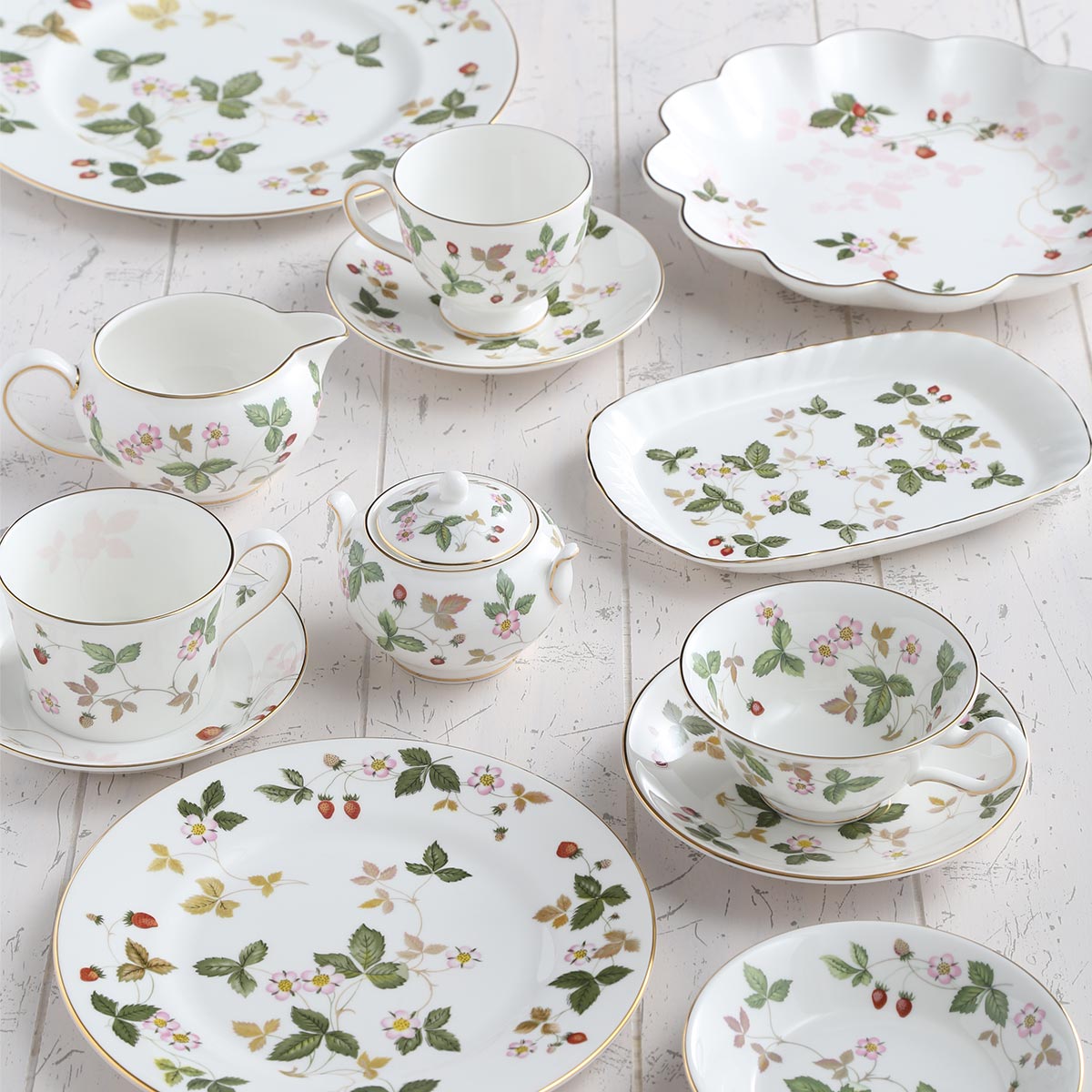 楽天市場】【2/25限定 P10倍】ウェッジウッド (Wedgwood) ワイルド