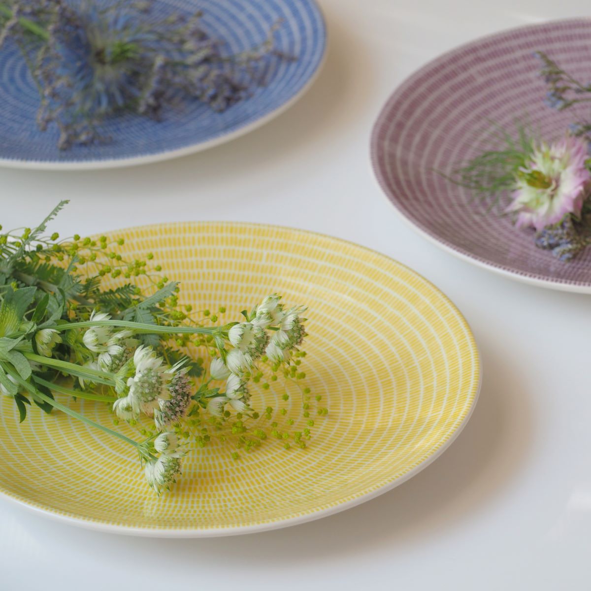 楽天市場】【2/25限定 P10倍】アラビア (ARABIA) 24h Avec アベック