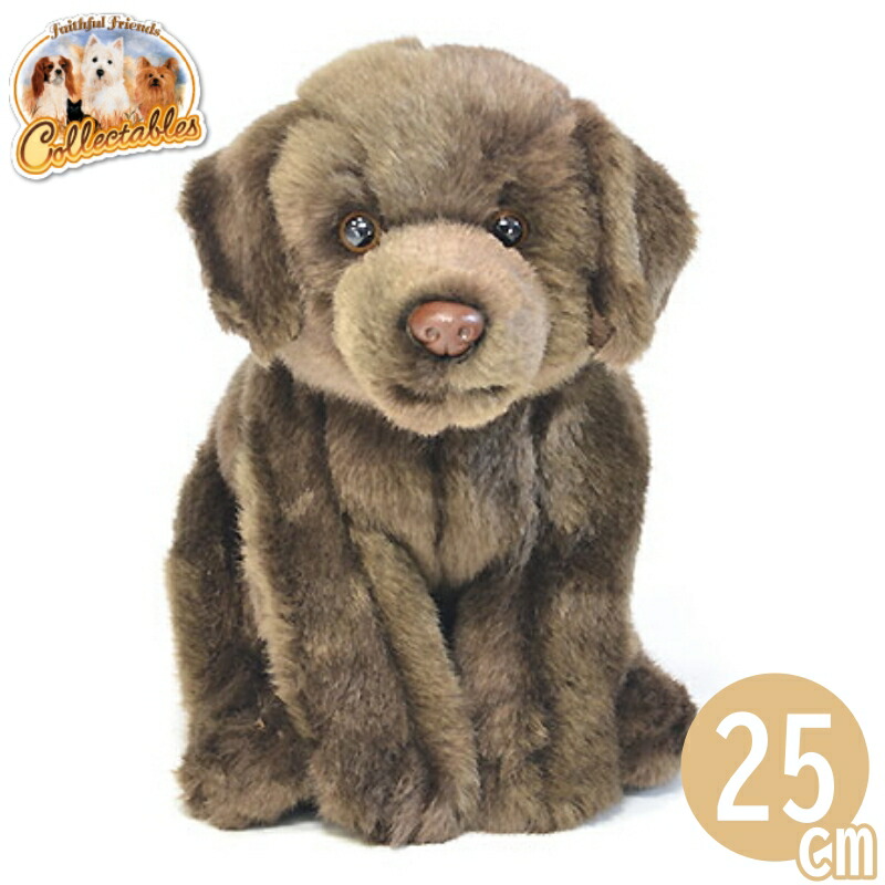 楽天市場】ラブラドールレトリバー ぬいぐるみ 犬 リアル チョコラブ