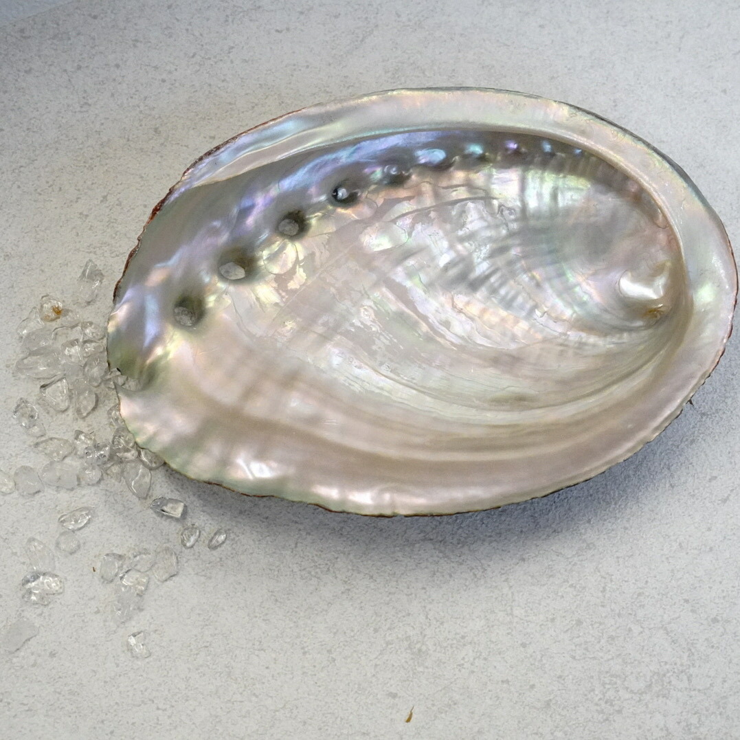 楽天市場】【 アバロンシェル 】 天然 自然 貝殻 皿 スマッジング 浄化